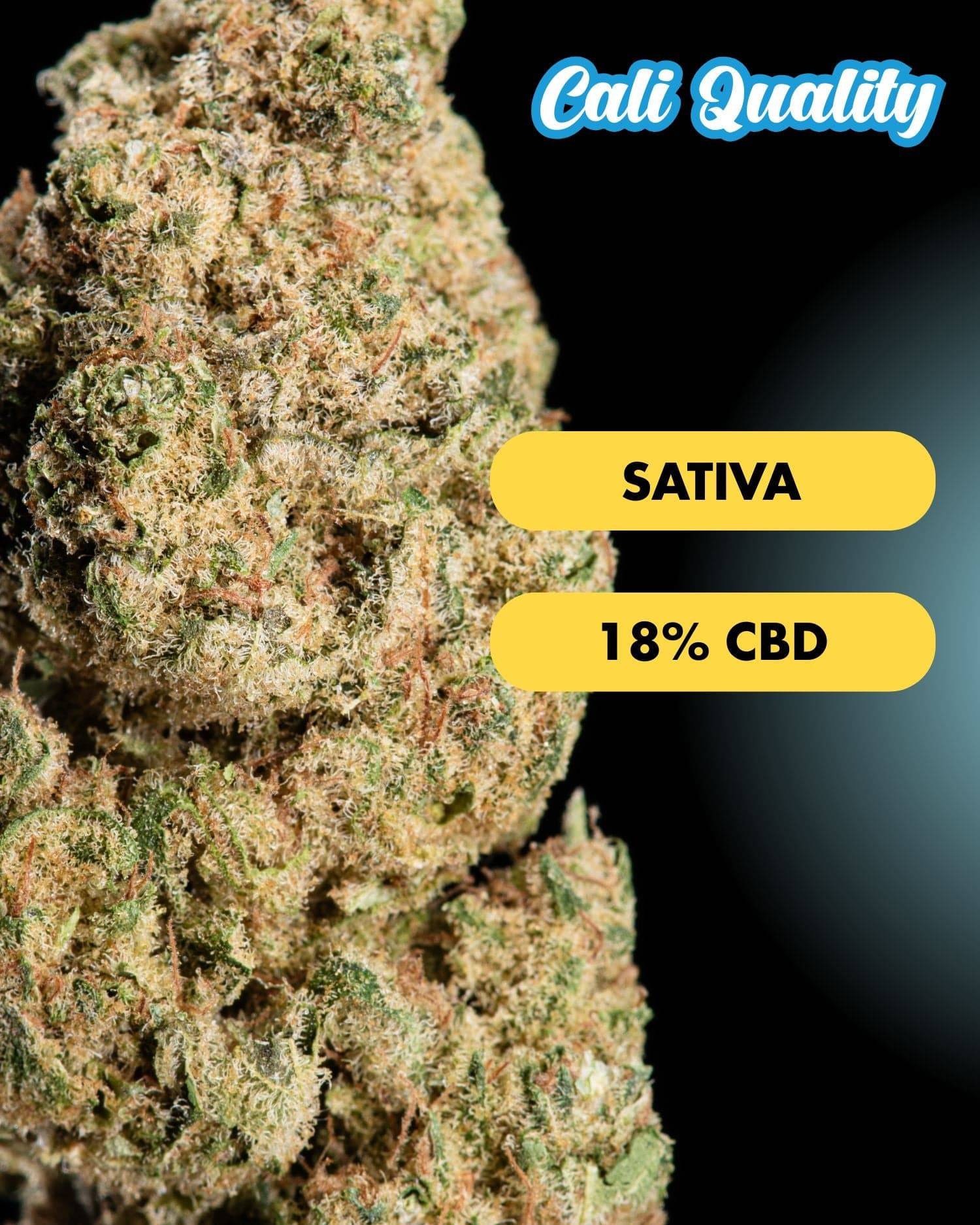 Frosty - CBD Blüte 18% - OnlyGrams