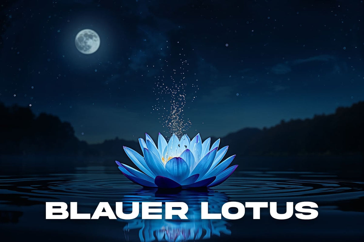 Blauer Lotus auf stillem Wasser bei Nacht mit Mondlicht und leuchtenden Blütenblättern