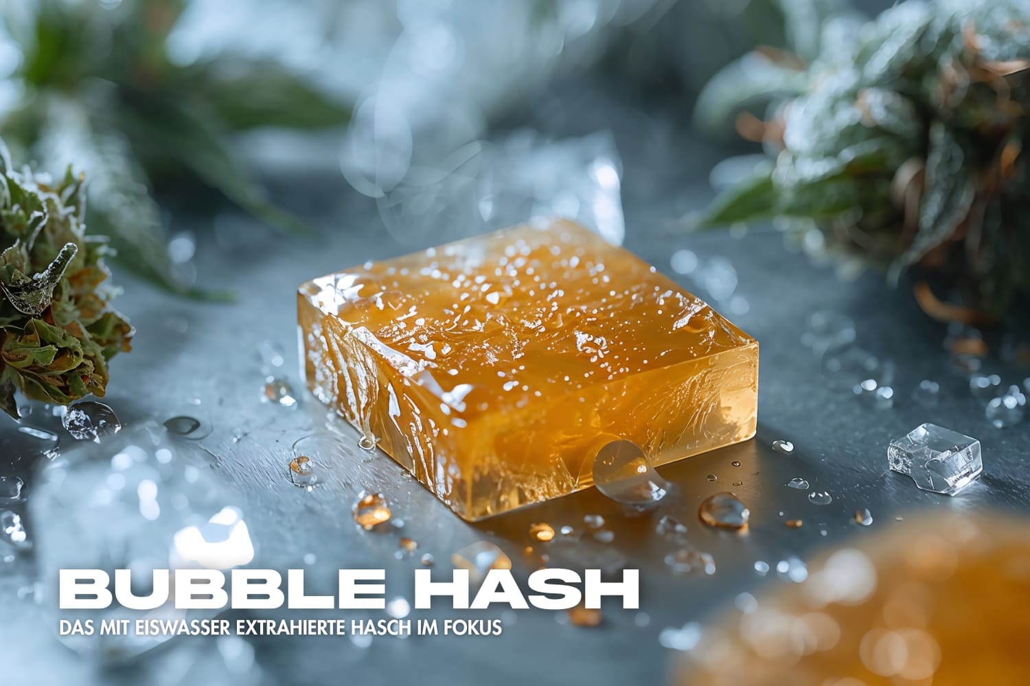 Bubble Hash Block in Nahaufnahme – heller, kristalliner Haschblock mit zarter Textur. Umgeben von schwebenden rosa Bubblegum-Blasen vor einem kühlen blauen Hintergrund. Hochwertige Produktdarstellung mit verspieltem, cleanem Look.