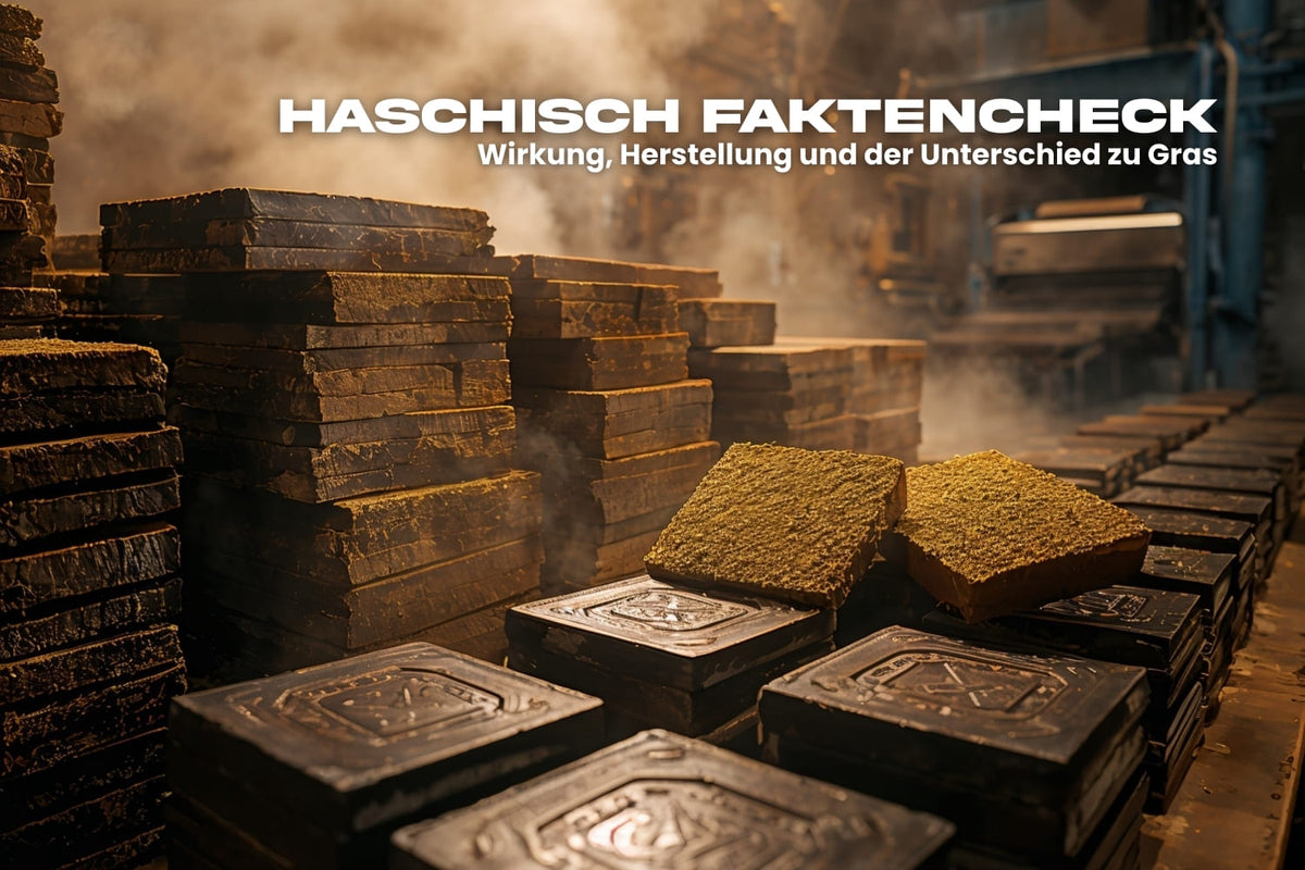Haschisch Faktencheck – gestapelte Haschischplatten, Infos zu Wirkung, Herstellung und Unterschied zu Gras