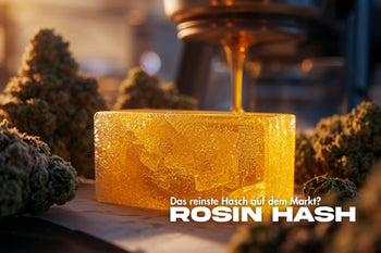 Goldener Block aus Rosin Hash, das reine Haschischprodukt ohne Lösungsmittel, hergestellt durch Hitze und Druck aus Cannabis.