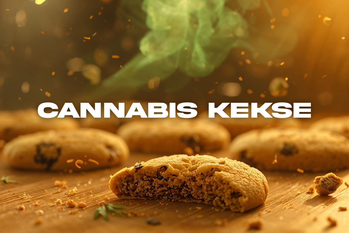 Frisch gebackene Cannabis-Kekse auf einem Holztisch, einer davon halb angebissen. Über den Keksen steigt leichter grüner Rauch auf, warmes goldenes Licht sorgt für eine gemütliche Atmosphäre. Text ‚Cannabis Kekse‘ im Vordergrund