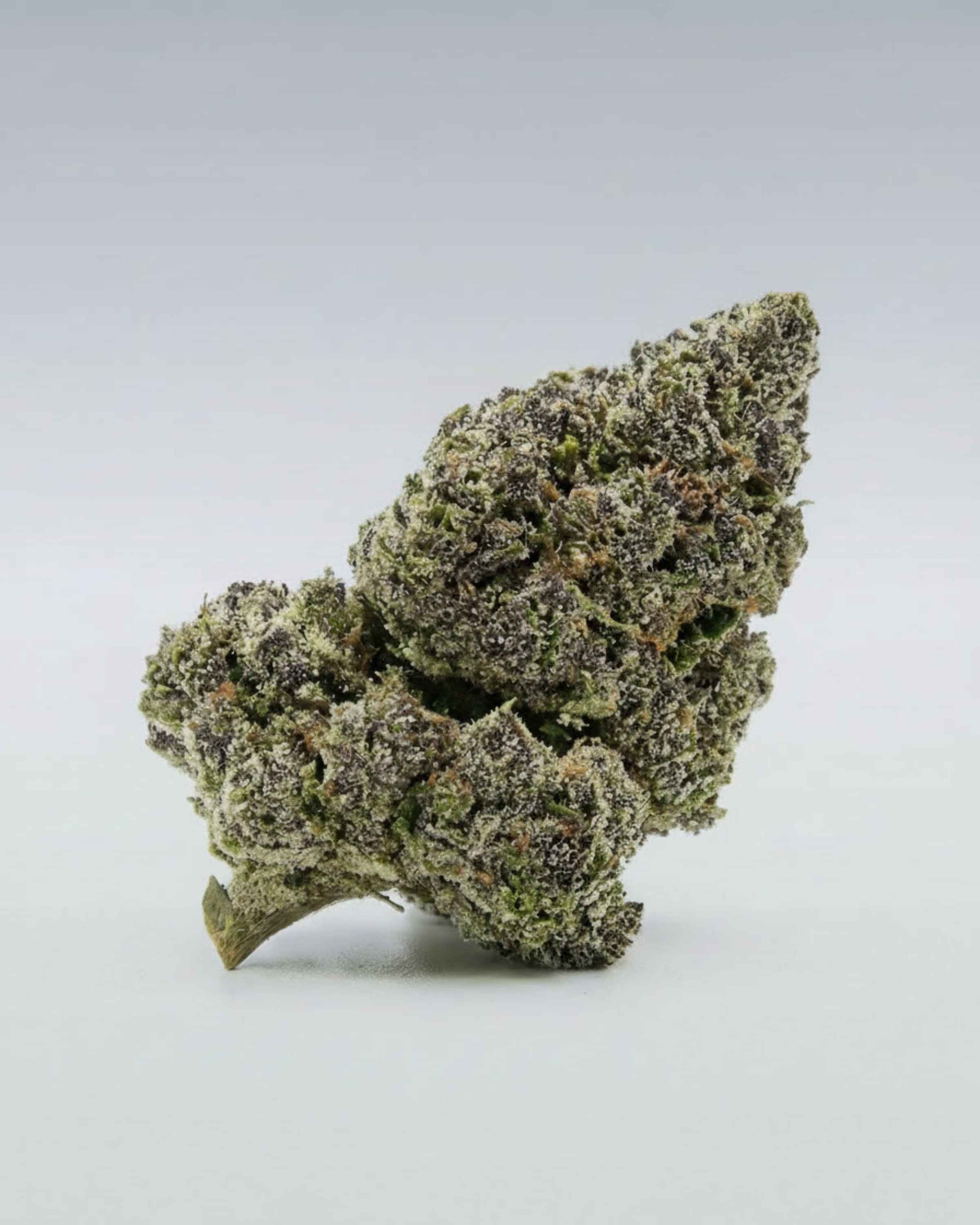 Blue Zushi - Superior Blüte 55% - OnlyGrams