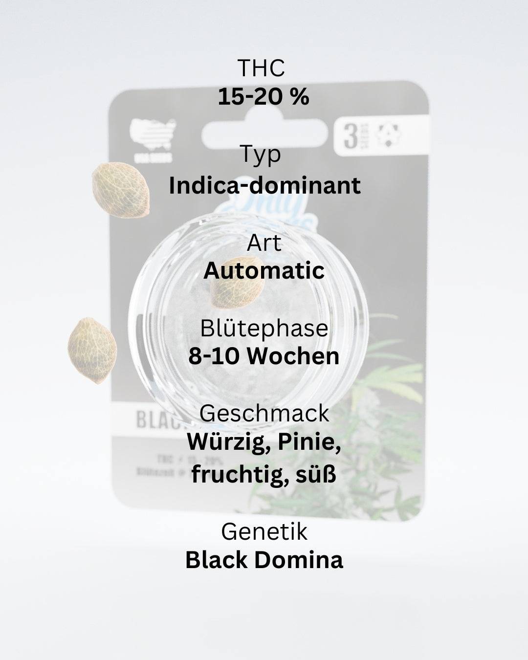 Black Domina THC-Seeds - OnlyGrams