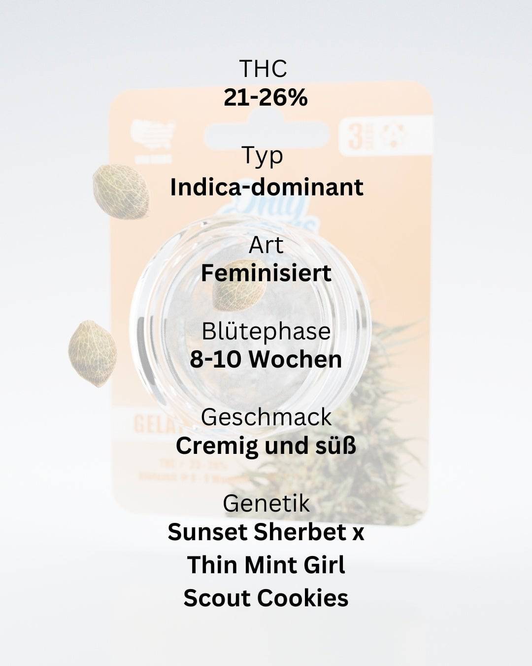 Gelato THC-Seeds - OnlyGrams