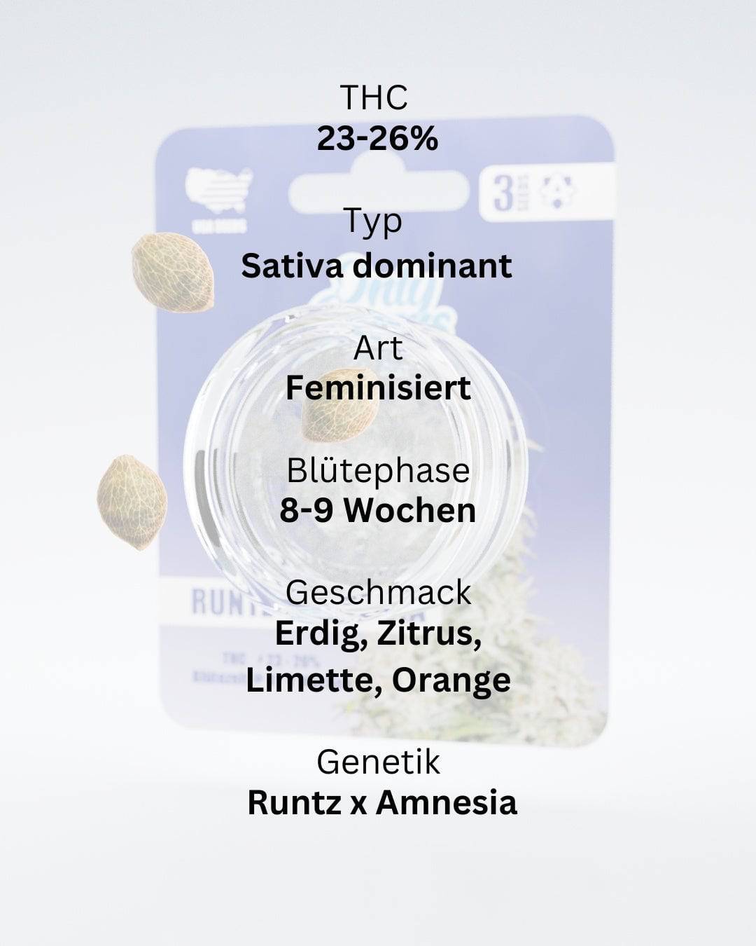 Runtz x Amnesia THC-Seeds - OnlyGrams